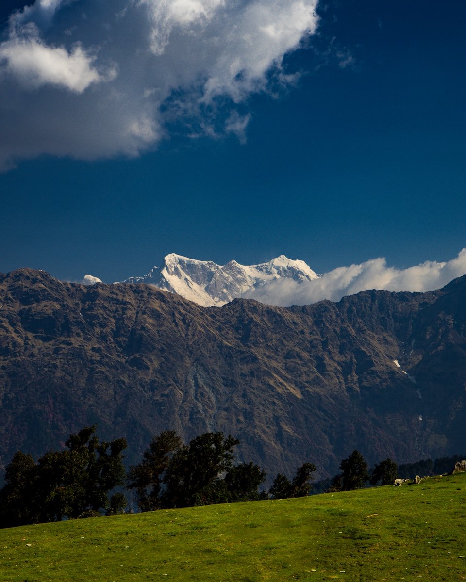 a grassy field with mountains in the background